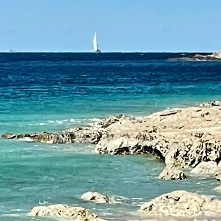 Panorama *